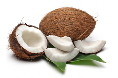 coconut-img